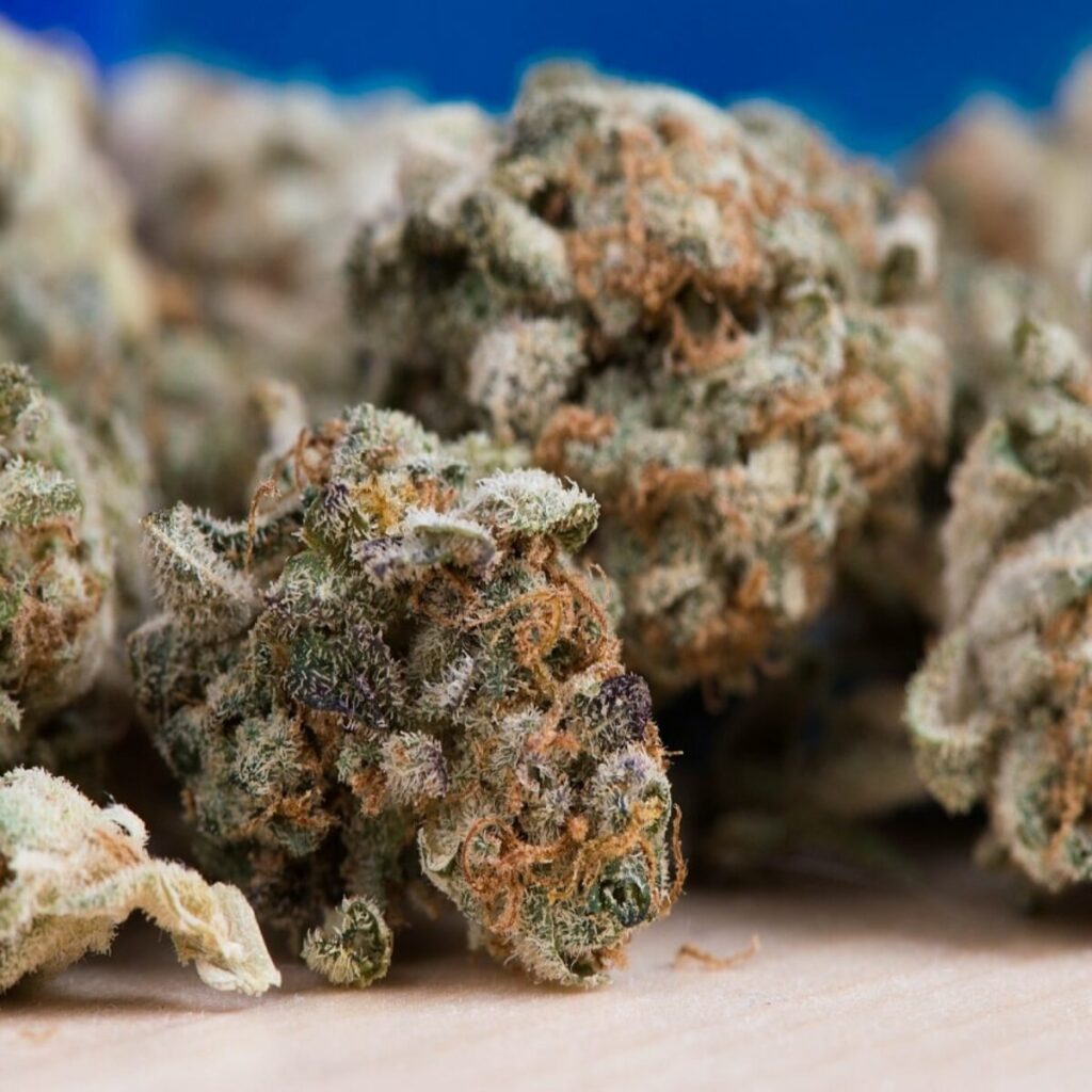 cannabis-flower-annarbor
